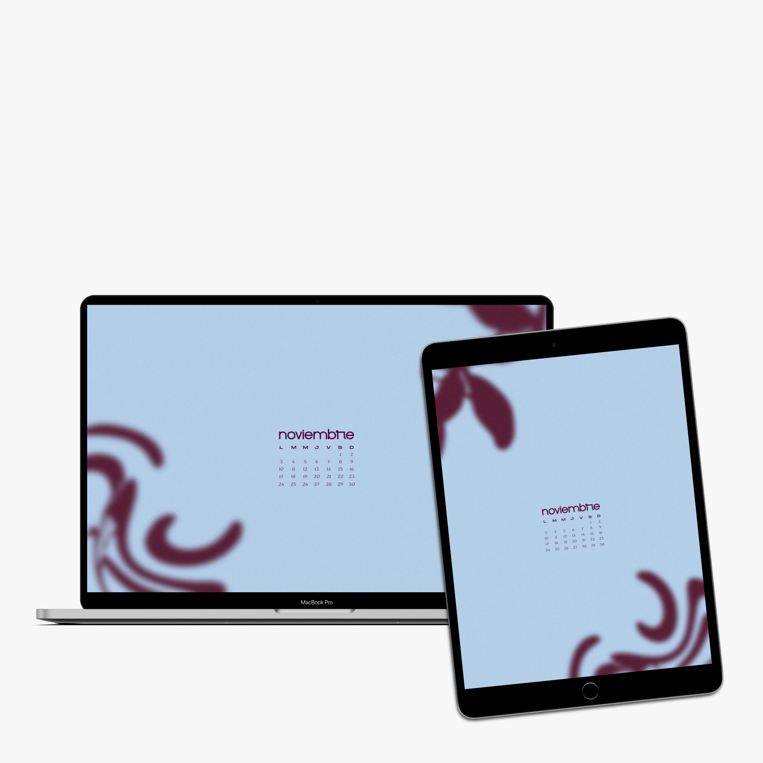 Calendario | Noviembre